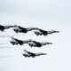 Illustration for article titled 2019 Abbostford (A city in BC) Airshow Photos.